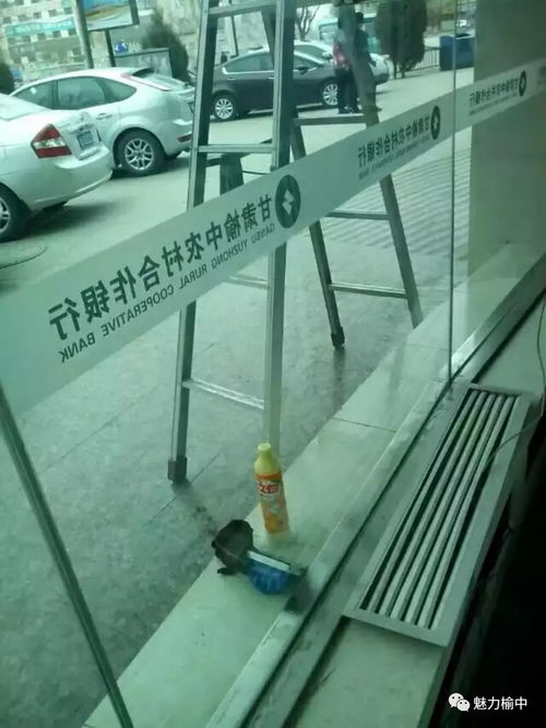 榆中永潔家政 用心服務(wù)，潔誠為你，水暖改造的放心之選